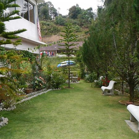 Krs Pines Hotel Cameron Highlands Extérieur photo