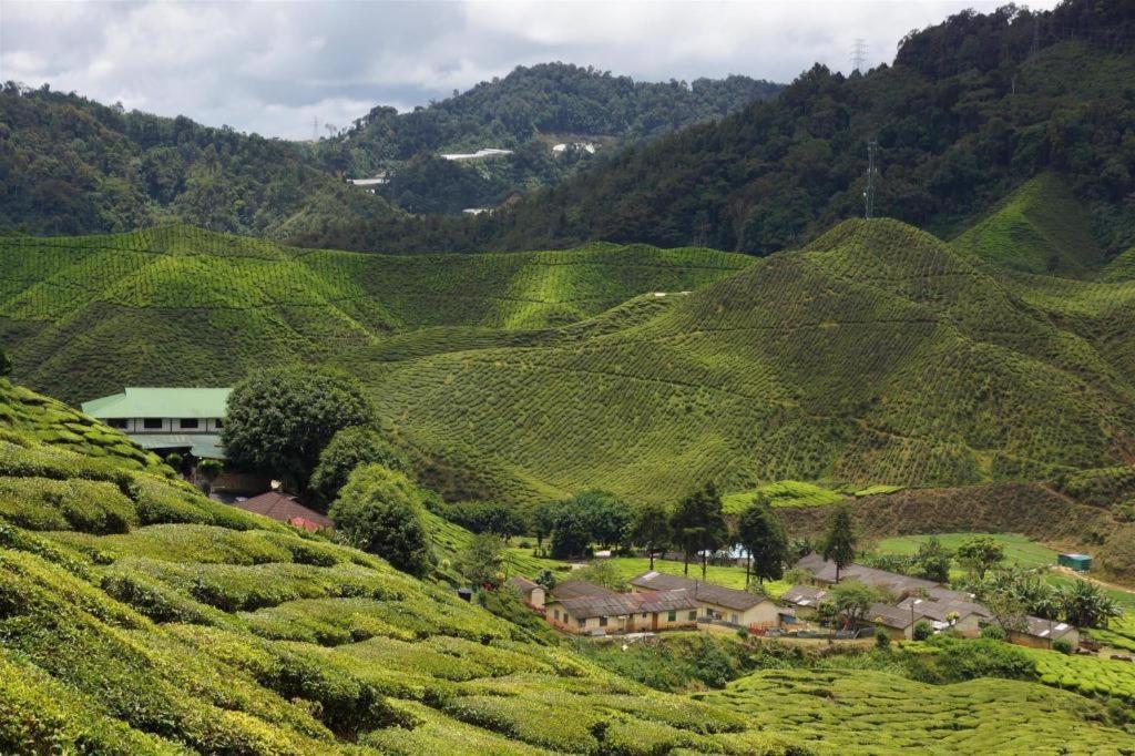 Krs Pines Hotel Cameron Highlands Extérieur photo