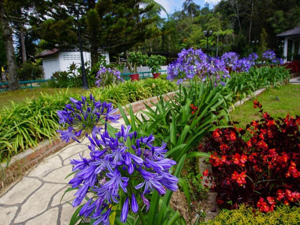 Krs Pines Hotel Cameron Highlands Extérieur photo